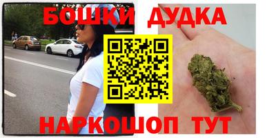 индика Дубна