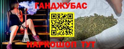 индика Дубна