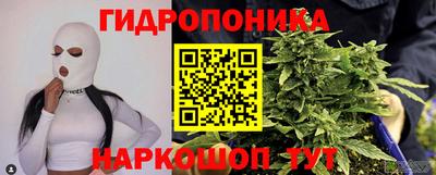 индика Дубна