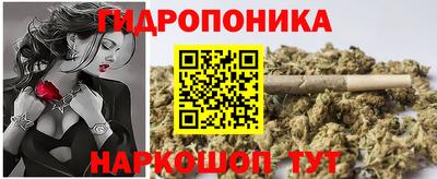 индика Дубна