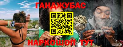 индика Дубна